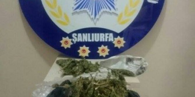 Şanlıurfa’da Uyuşturucuya Geçit Yok