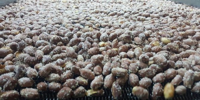 Yeni Yıl İçin Yüzlerce Kişi Vardiya Yaptı Tonlarca Kuruyemiş Hazırlandı