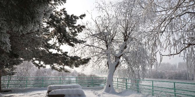 Muş’ta Kış Manzaraları