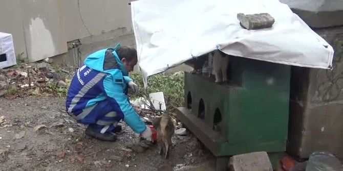 Beyoğlu’nda Sokak Hayvanları Aç Kalmayacak