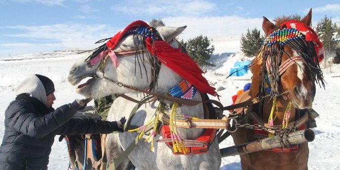 Çıldır Gölü’nde Atlı Kızak Keyfi Ve Balık Avı