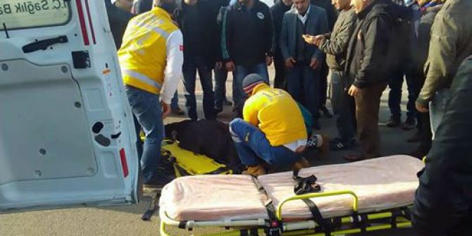 Batman’da Trafik Kazası: 1 Ölü