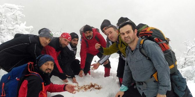 Eksi 10 Derecede Kar Helvası Yapıp Yediler