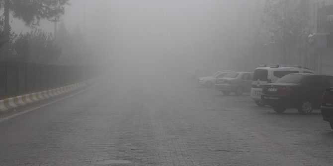 Kahta’da Yoğun Sis Etkili Oldu