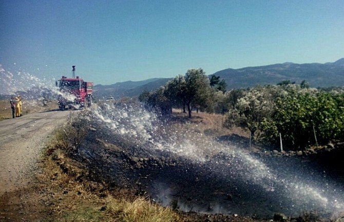 Havran’da Mahalleyi Ateşten İtfaiye Kurtardı