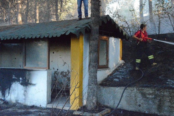 Diyarbakır’da Benzinliğin Yanında Çıkan Yangın Korkuttu