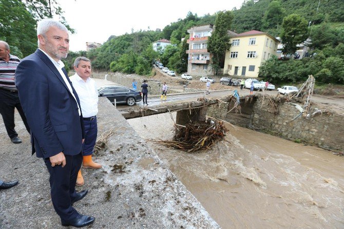 Ordu’da Selin Maliyeti 150 Milyon Lira