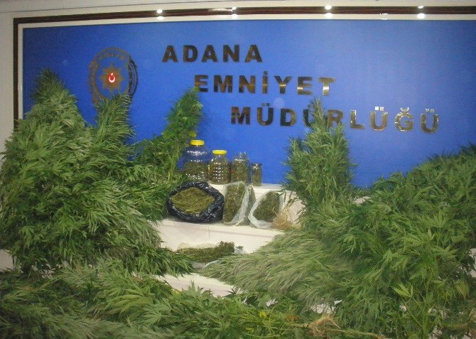 Adana’da Uyuşturucu Operasyonu