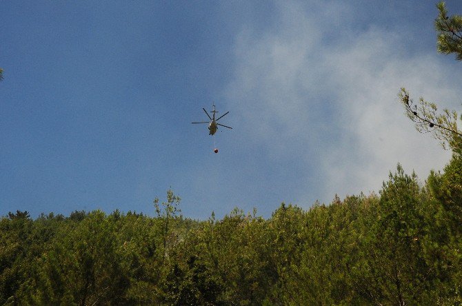 Alanya’daki Orman Yangını Kontrol Altına Alındı