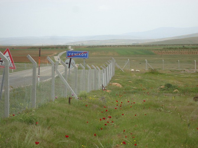 Büyükşehir Belediyesinden Mezarlıklara Lojistik Destek