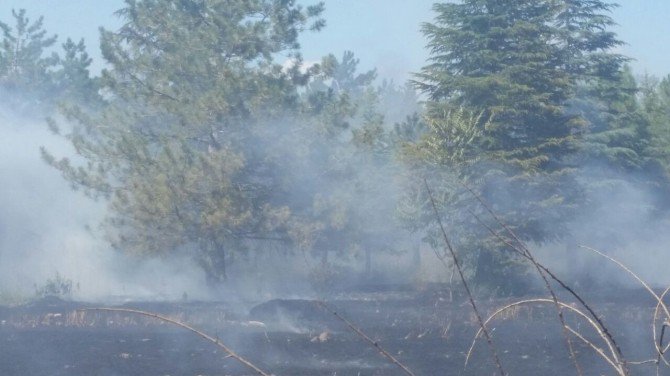 Anız Yangınına İtfaiye Müdahalesi