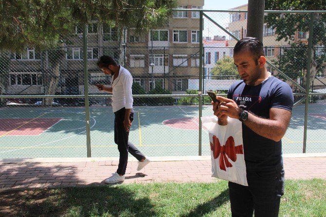 İstanbul’da ’Pokemon Go’ Çılgınlığı