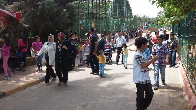 Gaziantep Hayvanat Bahçesi’ne Ziyaretçi Akını