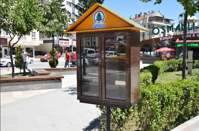 Pursaklar’ın Parklarında Kitap Okunacak