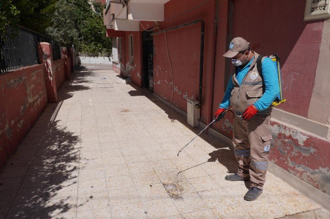 Haliliye’de Haşere İle Etkili Mücadele Sürüyor