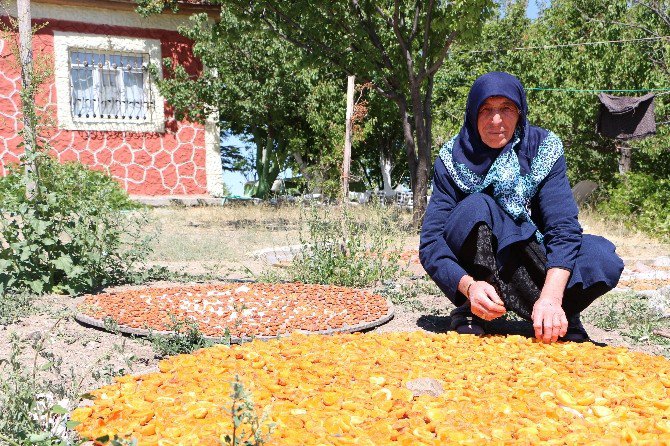 70 Yaşındaki Fatma Nine, Eşinin Vasiyetini Gerçekleştirmek İçin Köyünü Terk Etmedi