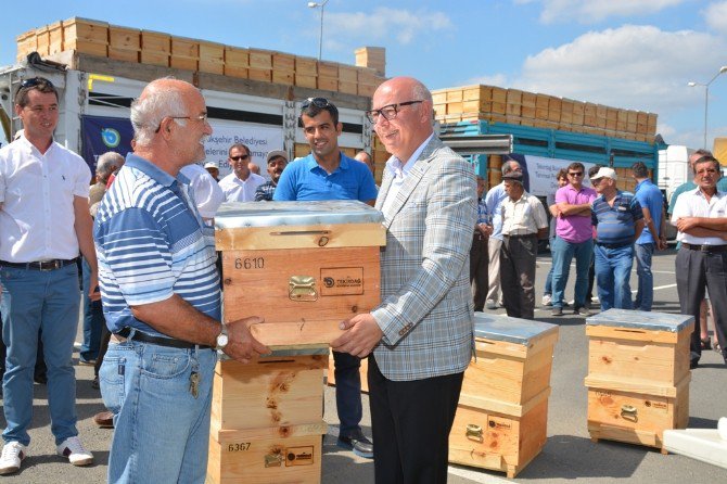 Süleymanpaşa’da Arı Üreticilerine Bin 140 Adet Arı Kovanı Dağıtıldı