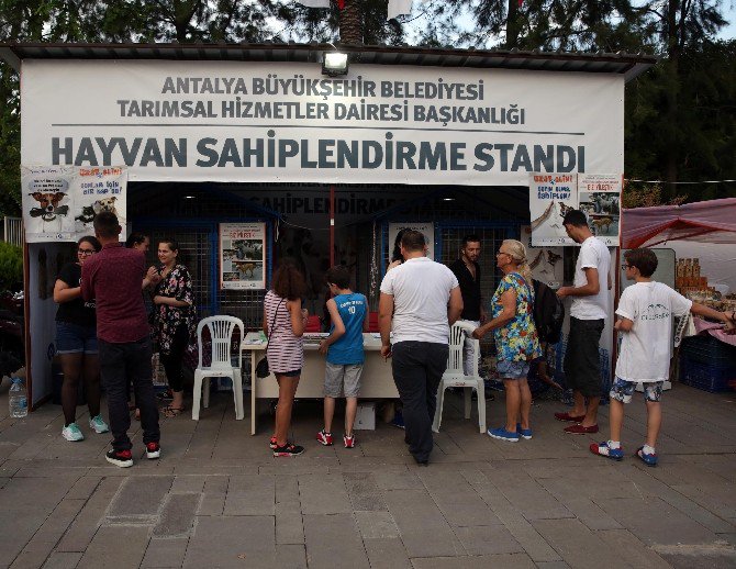 Ramazan Ayında 110 Kedi Ve Köpek Sahiplendirildi