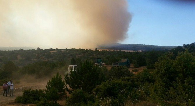 Eskişehir’de Orman Yangını