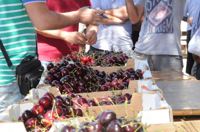 Kiraz Festivali Uluslararası Boyuta Taşınacak