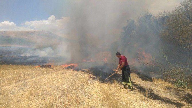 Anız Yangını Meyve Bahçesine Sıçradı