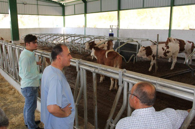 Suni Tohumlama Projesi Çalışmaları Meyvelerini Vermeye Başladı