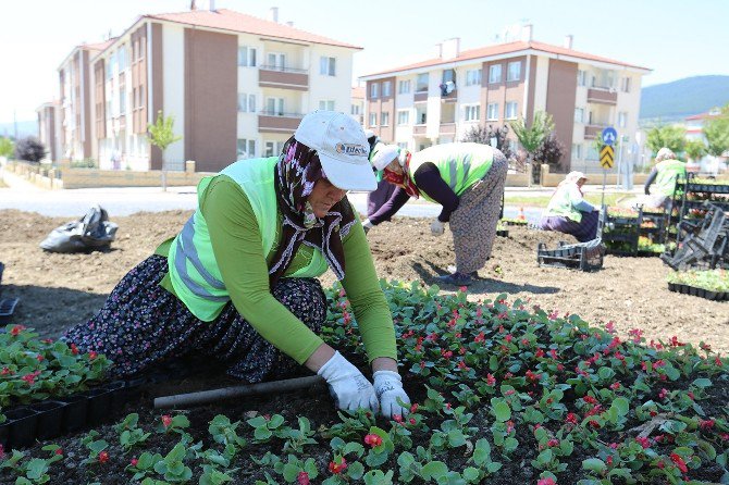 Kadın İşçiler Bolu’yu Güzelleştiriyor