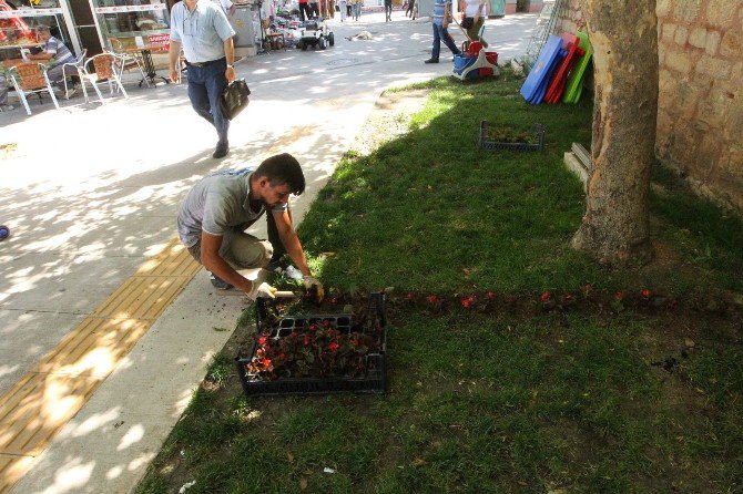 Gebze’de Park Ve Bahçeler Çiçeklerle Süslendi