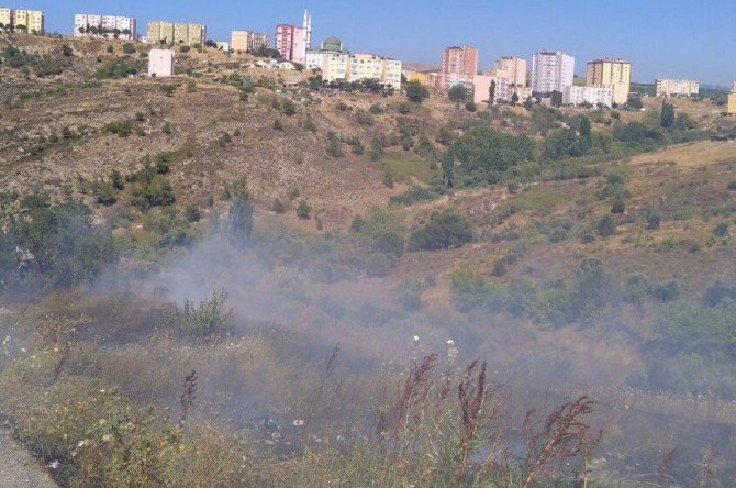 Bandırma’da Arazi Yangını