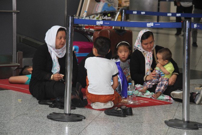 Thy Yüzlerce Seferini İptal Etti