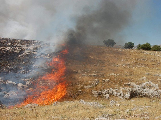 Adıyaman’da Orman Yangını Büyüyor