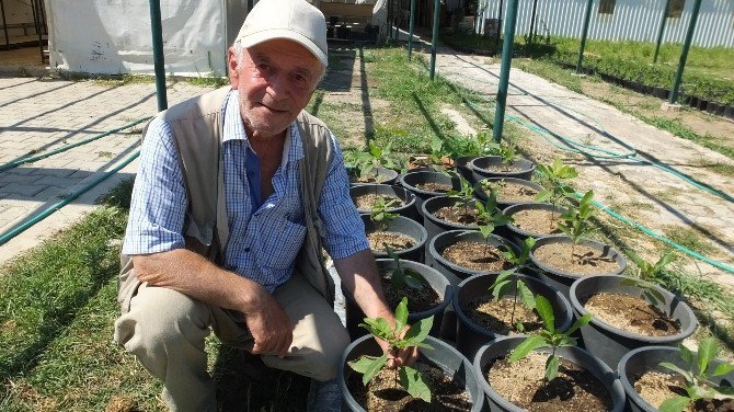 Burhaniye’de Emekli Albay Darbecilere Lanet Yağdırdı