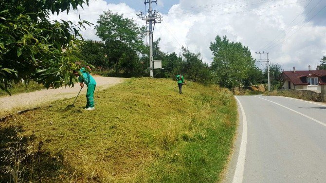 İzmit’te, Tırpan Çalışmaları Devam Ediyor