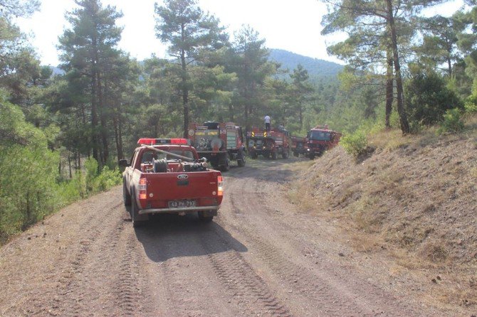 Kütahya’daki Orman Yangını Kontrol Altına Alındı