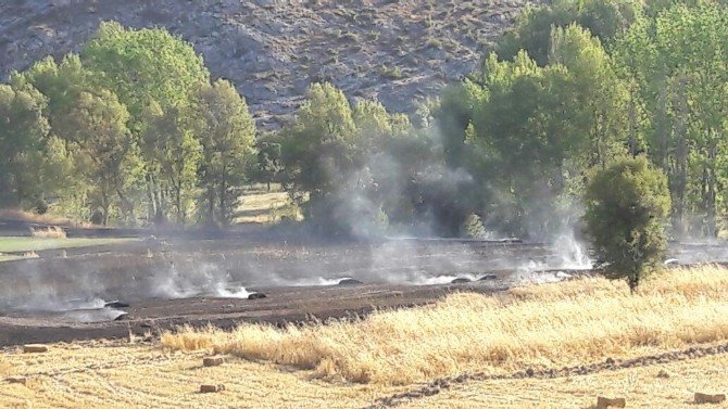 Tabiat Parkı Yakınındaki Yangın Korkuttu