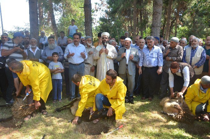 Kahta’da Şükür Kurbanı Kesildi