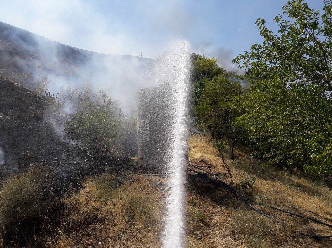 Anız Yangını Meyve Bahçesine Sıçradı