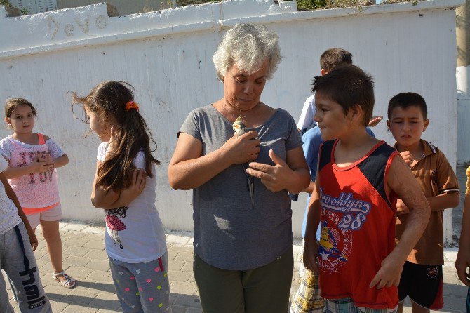 Söke’de Evden Kaçan ‘Sultan’ Kurtarıldı