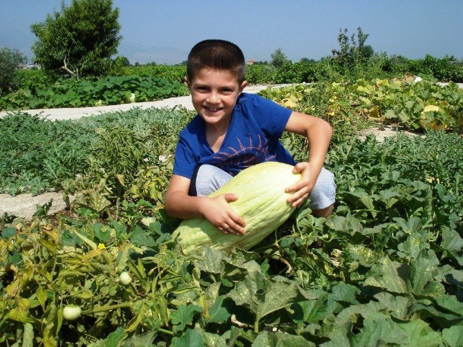 10 Kiloluk Acur Görenleri Şaşırttı