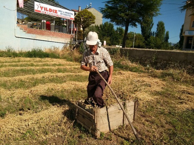 Sıfır Maliyetle Yonca Balyası