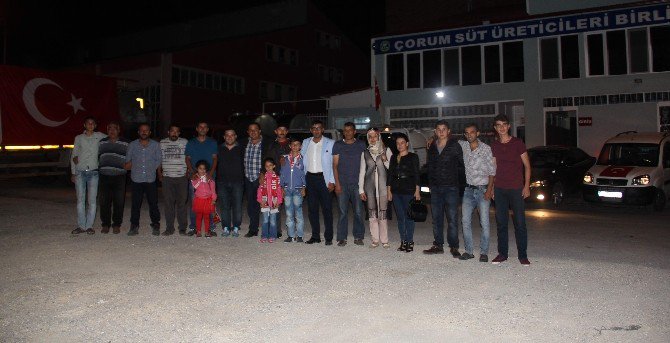 Süt Toplama Araçları Demokrasi İçin Yollarda