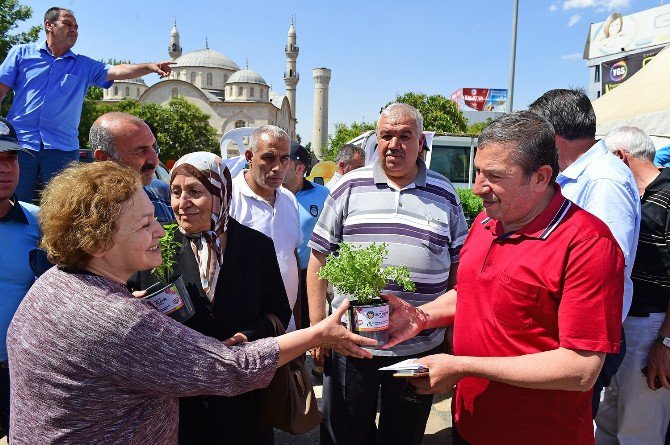 Haşereyle Mücadelede Doğal Yöntemler De Tercih Ediliyor