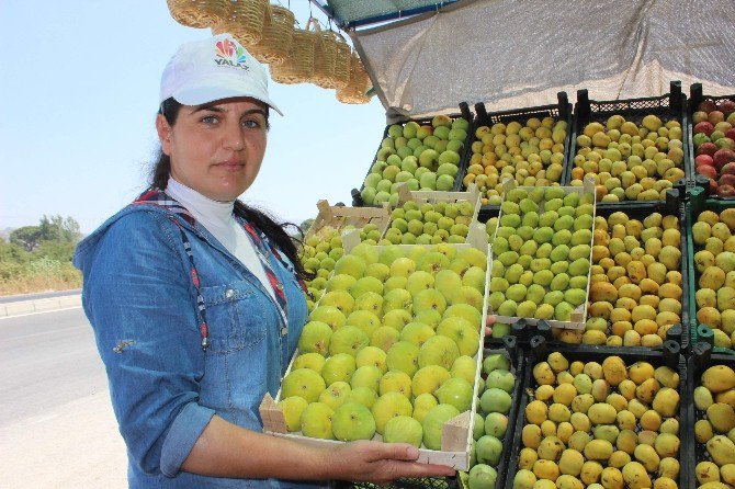 Aydın İnciri Tezgaha Düştü