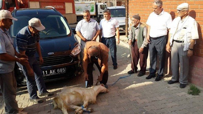 Bayırköy Beldesi Araç Filosunu Genişletiyor