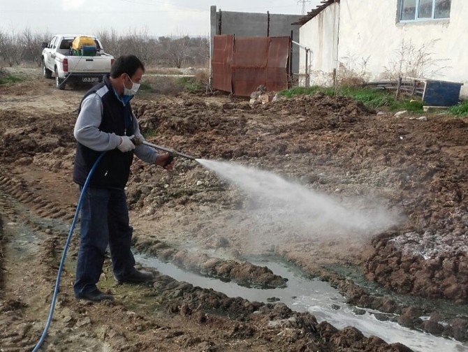 Selendi’de İlaçlama Devam Ediyor