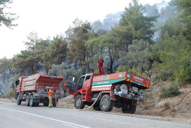 Silifke’de Orman Yangını