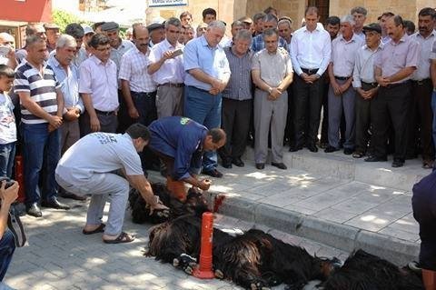 Tut İlçesinde Kurbanlar Kesildi