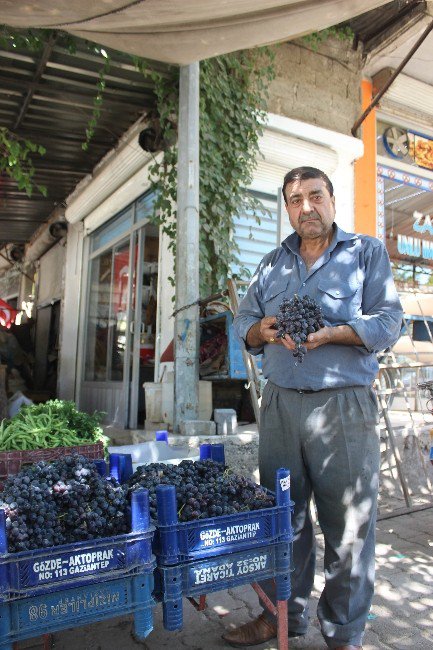 Kilis’te Horozkarası Üzümü Çıktı