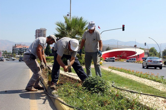 Alaşehir’de Parklar Ve Kavşaklar Çiçek Açtı