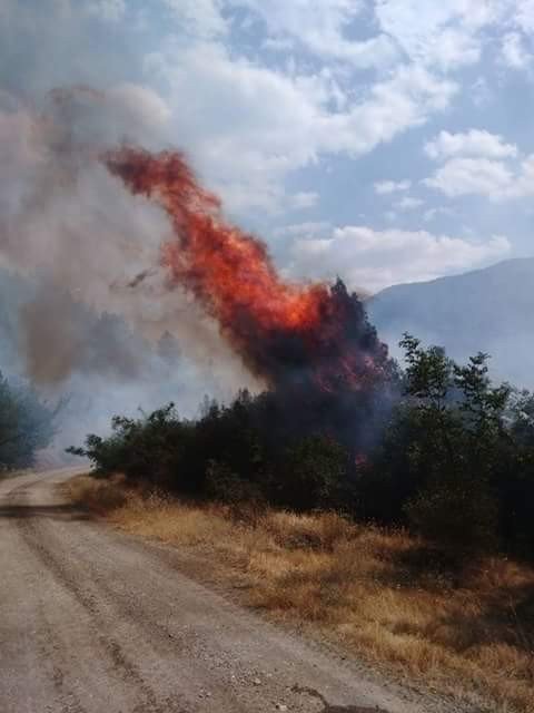 Kastamonu’da 4 Samanlık Ve 50 Dönümlük Ekili Tarım Arazisi Yandı